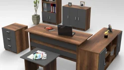 Butterfly Office Furniture 04