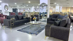 Butterfly Sofa Sets 19